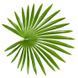 Штучна рослина Fan Palm 120 см Engard DW-27 DW-27 фото 5