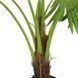Штучна рослина Fan Palm 120 см Engard DW-27 DW-27 фото 2