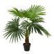 Штучна рослина Fan Palm 120 см Engard DW-27 DW-27 фото 1