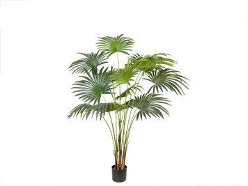 Штучна рослина Fan Palm 150 см Engard DW-28 DW-28 фото