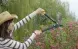 Малый плоскостный сучкорез Fiskars PowerGear с загнутыми лезвиями S L70 1002104 1002104 фото 3