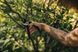 Площинний секатор Fiskars Solid&trade; P321 (1057162) 1057162 фото 3