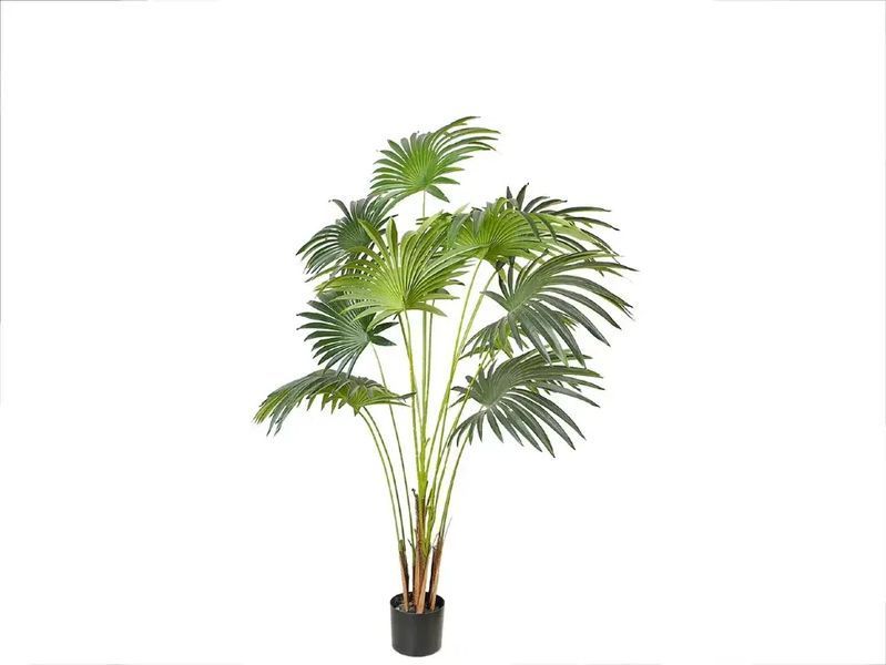Искусственное растение Fan Palm 150 см Engard DW-28 DW-28 фото