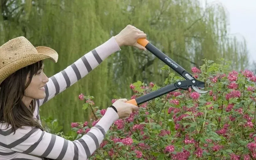 Малый плоскостный сучкорез Fiskars PowerGear с загнутыми лезвиями S L70 1002104 1002104 фото