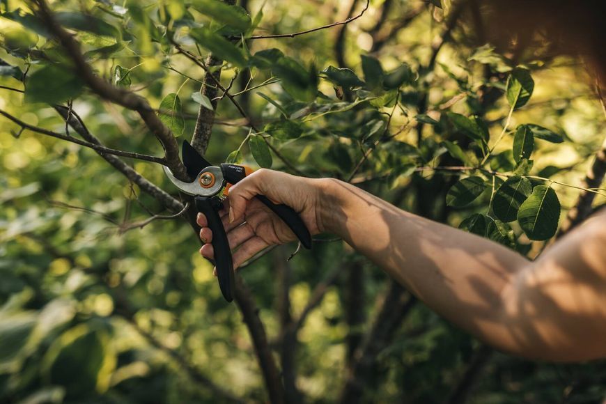 Площинний секатор Fiskars Solid&trade; P321 (1057162) 1057162 фото