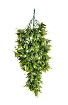 Штучна гілка Engard "Schefflera", 65cм AV-02 AV-02 фото
