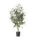 Штучна рослина Olive Tree 80 см Engard DW-20 DW-20 фото 1
