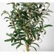 Штучна рослина Olive Tree 80 см Engard DW-20 DW-20 фото 3
