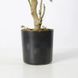 Штучна рослина Olive Tree 80 см Engard DW-20 DW-20 фото 5