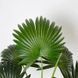Штучна рослина Fan Palm 95 см Engard DW-26 DW-26 фото 2