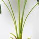 Штучна рослина Fan Palm 95 см Engard DW-26 DW-26 фото 4