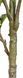 Штучна рослина Fiddle 110 см Engard DW-04 DW-04 фото 4