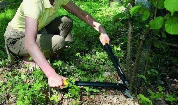 Плоскостной сучкорез Fiskars PowerGear M L76 1001553 1001553 фото
