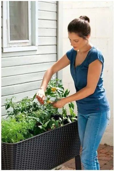Грядка для рослин на ніжках Keter Easy Growing 120л коричневий 230297 230297 фото