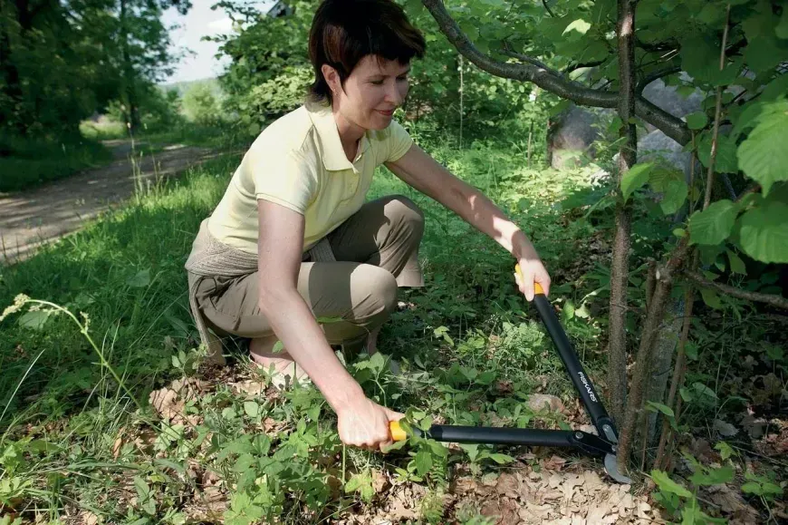 Площинний сучкоріз Fiskars з загнутими лезами (M) L74 1000582 1000582 фото