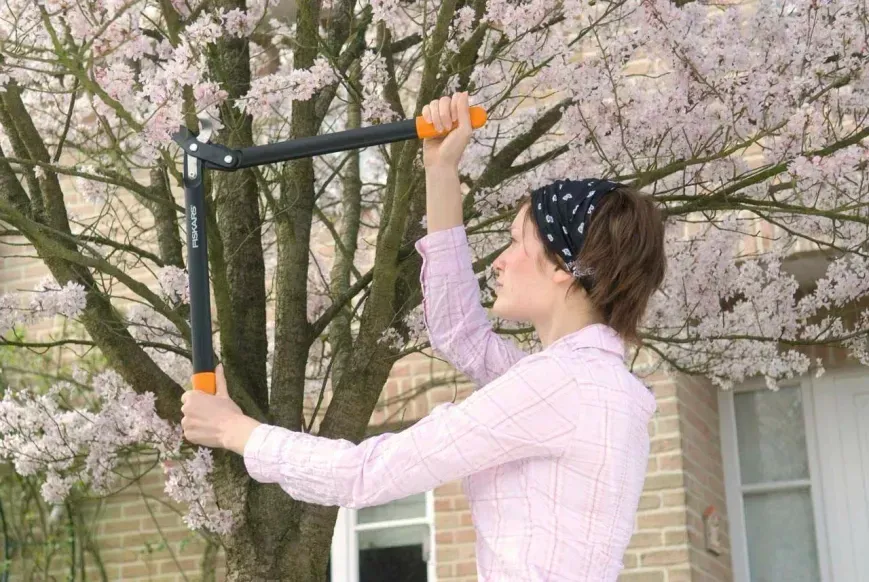 Площинний сучкоріз Fiskars з загнутими лезами (M) L74 1000582 1000582 фото