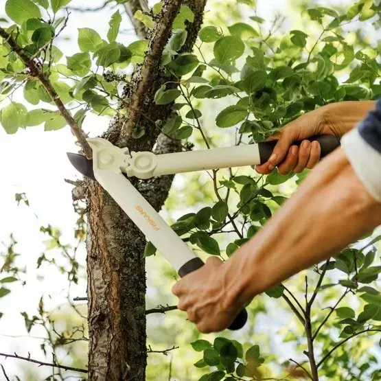 Сучкоріз Fiskars White L32 1026930 1026930 фото