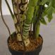 Искусственное растение Lacy Tree 150 см Engard DW-29 DW-29 фото 3