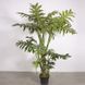 Искусственное растение Lacy Tree 150 см Engard DW-29 DW-29 фото 2