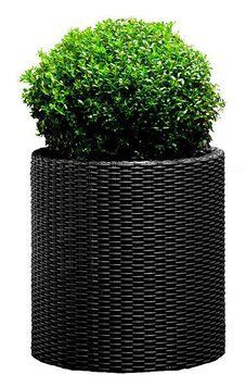 Горщик для квітів L Cylinder Planter Keter 7290103669430 7290103669430 фото