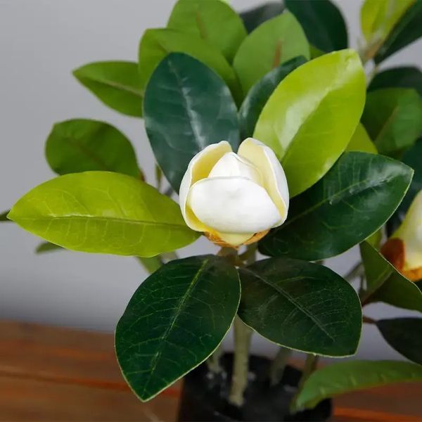 Искусственное растение Magnolia 40 см Engard DW-16 DW-16 фото
