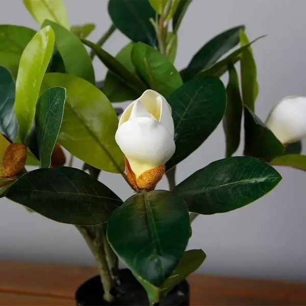 Искусственное растение Magnolia 40 см Engard DW-16 DW-16 фото
