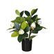 Искусственное растение Magnolia 40 см Engard DW-16 DW-16 фото 1