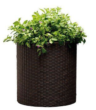 Горщик для квітів M Cylinder Planter Keter 7290103664190 7290103664190 фото