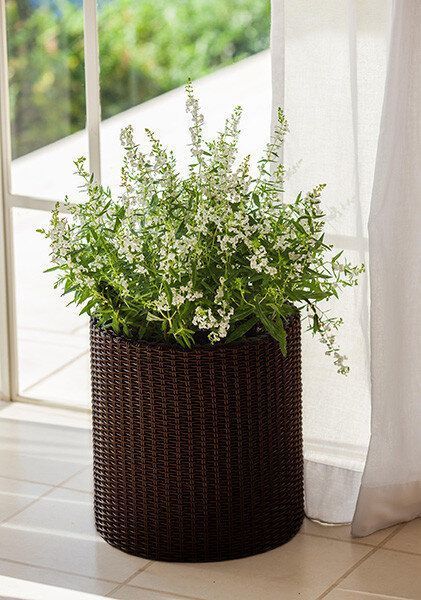 Горщик для квітів M Cylinder Planter Keter 7290103664190 7290103664190 фото