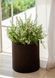 Горщик для квітів M Cylinder Planter Keter 7290103664190 7290103664190 фото 7