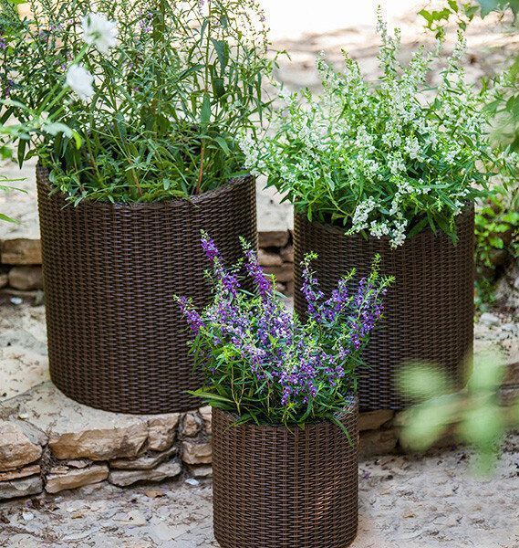 Горщик для квітів M Cylinder Planter Keter 7290103664190 7290103664190 фото