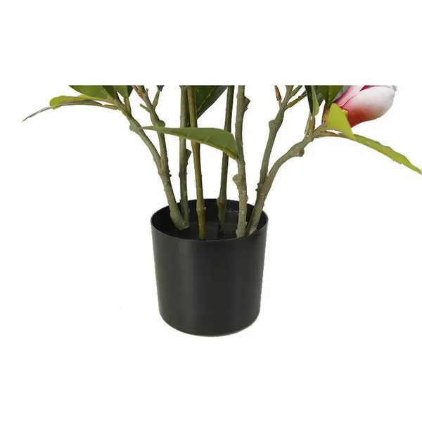 Штучна рослина Magnolia 70 см Engard DW-17 DW-17 фото