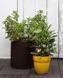 Горщик для квітів M Cylinder Planter Keter 7290103664190 7290103664190 фото 6