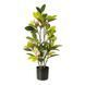 Штучна рослина Magnolia 70 см Engard DW-17 DW-17 фото 1