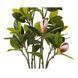 Штучна рослина Magnolia 70 см Engard DW-17 DW-17 фото 3