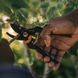 Садовый секатор Fiskars Solid&trade; P131 (1057161) 1057161 фото 3