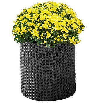 Горщик для квітів M Cylinder Planter Keter 7290103668211 7290103668211 фото