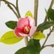 Штучна рослина Magnolia Tree 150 см Engard DW-18 DW-18 фото 3