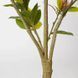 Штучна рослина Magnolia Tree 150 см Engard DW-18 DW-18 фото 2