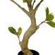 Штучна рослина Magnolia Tree 150 см Engard DW-19 DW-19 фото 4