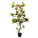 Штучна рослина Magnolia Tree 150 см Engard DW-19 DW-19 фото 1