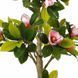 Штучна рослина Magnolia Tree 150 см Engard DW-19 DW-19 фото 3