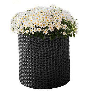 Горщик для квітів S Cylinder Planter Keter 7290103668204 7290103668204 фото