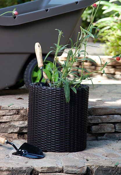 Горщик для квітів S Cylinder Planter Keter 7290103668204 7290103668204 фото