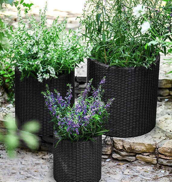 Горщик для квітів S Cylinder Planter Keter 7290103668204 7290103668204 фото