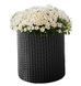 Горщик для квітів S Cylinder Planter Keter 7290103668204 7290103668204 фото 1