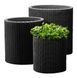 Горщик для квітів S Cylinder Planter Keter 7290103668204 7290103668204 фото 5