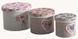 Короб для хранения Handy Home Цветы, 25х25х18 см. FB-23 FB-23 фото 2