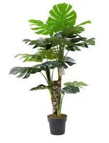 Штучна рослина Monstera 125 см Engard DW-21 DW-21 фото