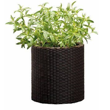 Горщик для квітів S Cylinder Planter коричневий Keter 7290103664183 фото